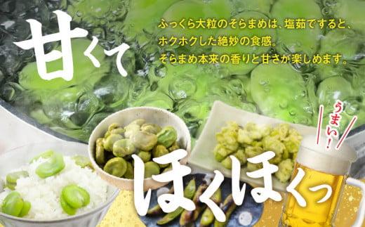 旬の味覚 そらまめ 約4kg【2026年4月下旬～2026年5月下旬配送】