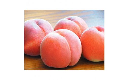 香川の桃 化粧箱　約1.8kg【2026-6月中旬～2026-8月上旬配送】