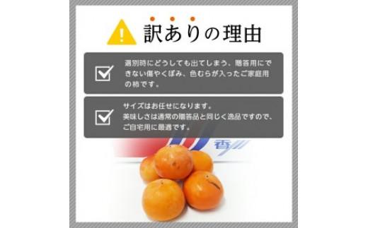 訳あり　富有柿　約7kg【2026年10月下旬～2026年12月中旬配送】