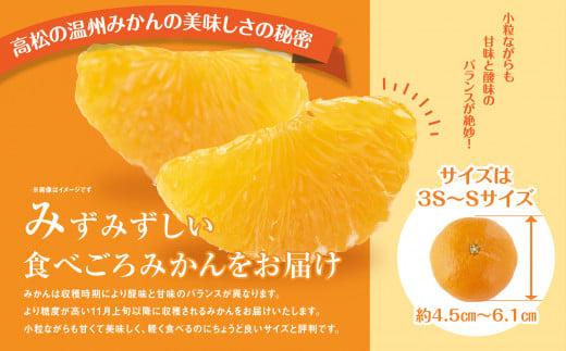 瀬戸内温州みかん　厳選高糖度　約10kg【2025-11月上旬～2026-1月中旬配送】