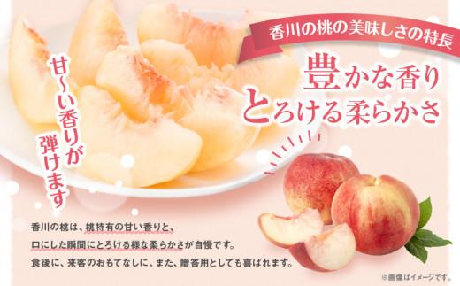 香川の桃パック　約2.2kg【2026-6月中旬～2026-8月上旬配送】