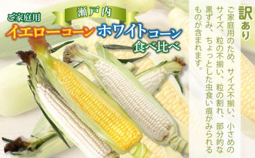 訳あり ご家庭用 瀬戸内ホワイトコーン・イエローコーン食べ比べ 各約4.5kg【2026-6月中旬～2026-7月中旬配送】