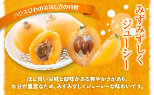 ハウスびわ化粧箱 約500g【2026-4月中旬～2026-5月上旬配送】