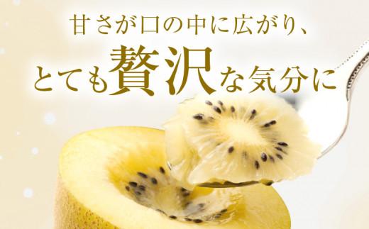 さぬきゴールドキウイ化粧箱　約1.4kg【2025-10月中旬～2026-1月下旬配送】