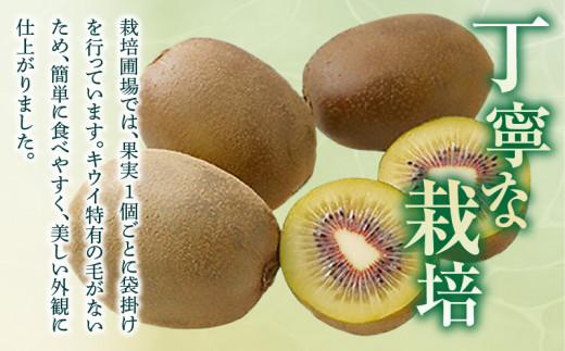 さぬきエンジェルスイート(小玉)　約1.6kg【2024年11月中旬～2025年2月上旬配送】