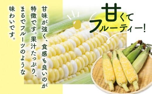 ＼寄附額改定／訳あり ご家庭用ドルチェドリーム 約4.5kg【2026年6月上旬～2026年7月上旬配送】