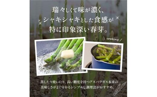 訳あり 柔らかさと甘みが際立つ さぬきのめざめ春芽 約1.2kg【2026-3月上旬～2026-4月下旬配送】