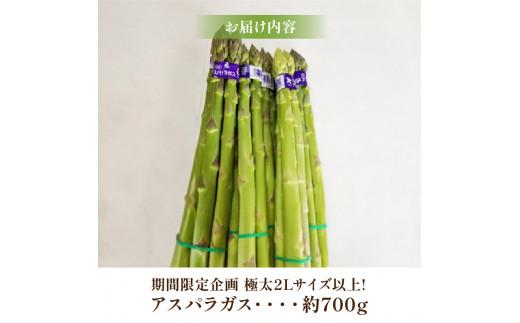 期間限定企画 極太2Lサイズ以上! アスパラガス 約700g【2026-3月上旬～2026-4月下旬配送】