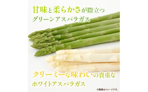 グリーン (約500g)・ ホワイト (約300g) アスパラガス 食べ比べ セット 【2026-3月上旬～2026-9月下旬配送】
