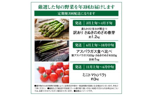 季節のやさい  厳選 高松市 3回 [旬な季節に合計3回発送]定期便D