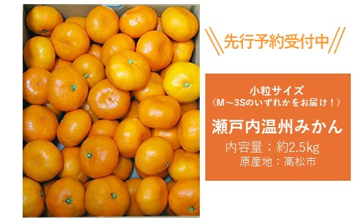 【先行予約】瀬戸内温州みかん　M～3Sサイズ　約2.5kg【2026年10月上旬～2027年1月下旬配送予定】