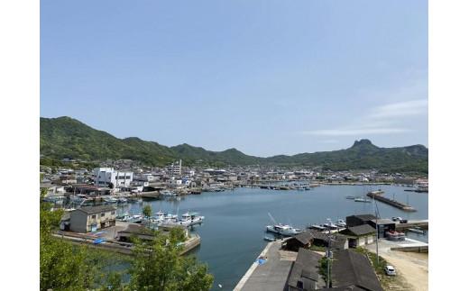 オリーブハマチ 半身 約1kg