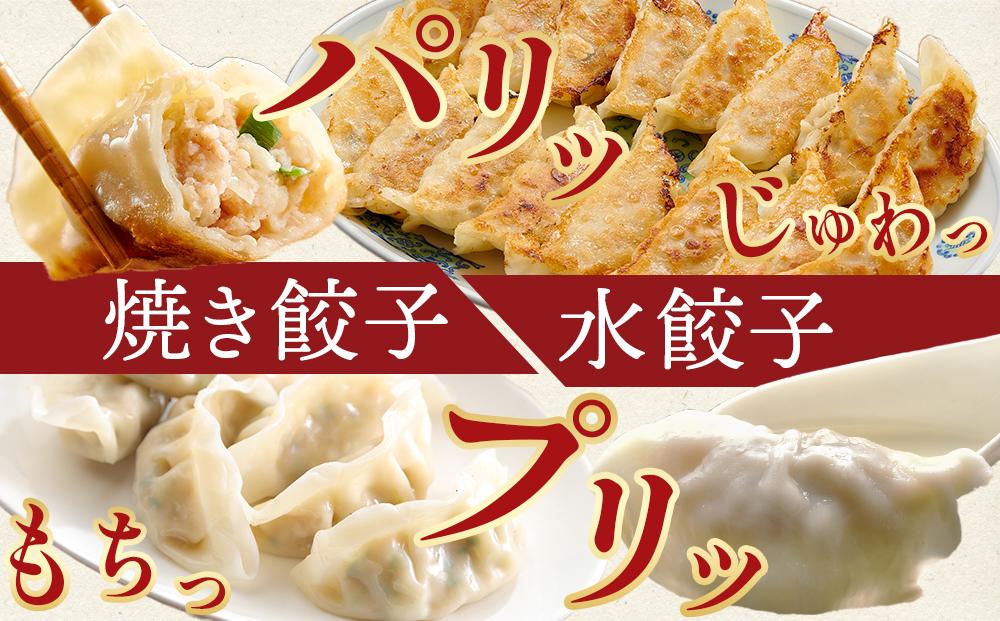 親どり専門店が作る親鳥餃子（8個×3パック）