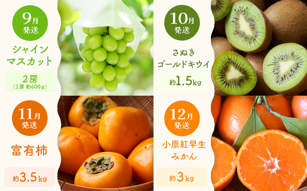 【定期便全12回】旬果厳選！四季を味わう単品定期便♪