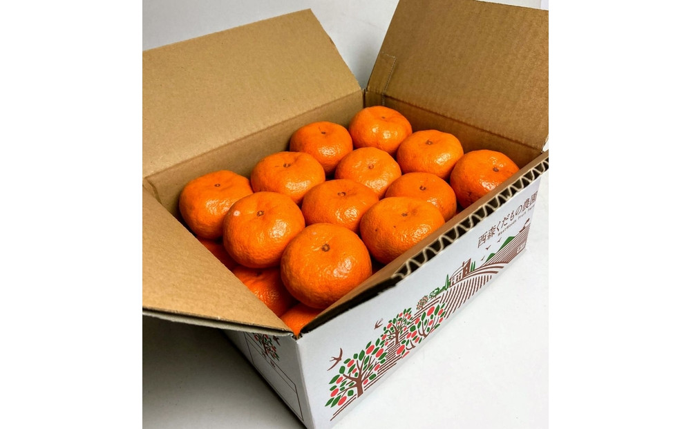 『2025年12月より順次発送』香川オリジナル品種「紅みかん(小原紅早生)」2.5kg[のしシール付き]