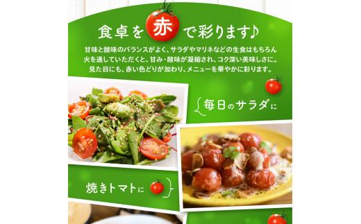 ミニトマト約2.7kg【2025-11月上旬～2026-6月中旬配送】