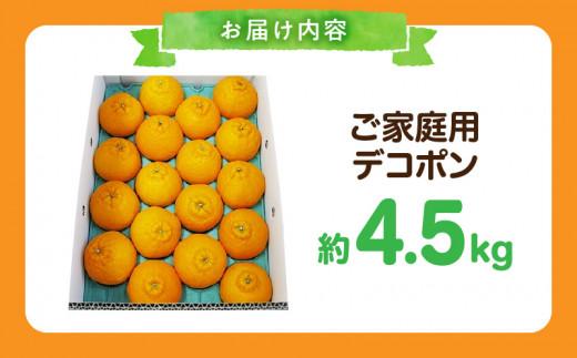 高松産季節の果物＜ご家庭用　デコポン＞約4.5kg【2026年2月下旬～2026年4月上旬配送】