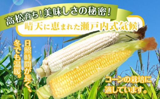 訳あり ご家庭用 瀬戸内ホワイトコーン・イエローコーン食べ比べ 各約4.5kg【2026-6月中旬～2026-7月中旬配送】