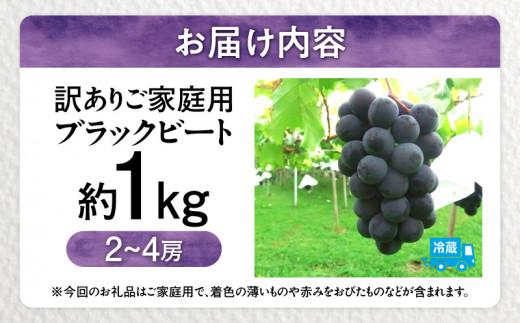 訳あり ご家庭用 ブラックビート 約1kg【2026年8月中旬～2026年9月下旬配送】