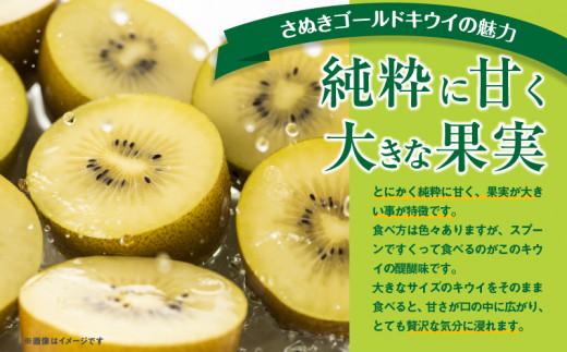 さぬきゴールドキウイ化粧箱(大玉)　約600g【2025-10月中旬～2026-1月下旬配送】