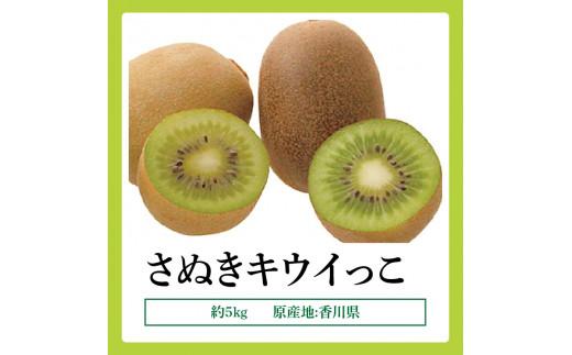 さぬきキウイっこ　約5kg【2025-10月下旬～2025-12月下旬配送】