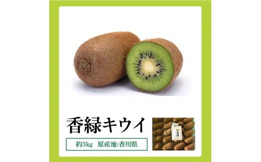 香緑キウイ　約3kg【2025-11月下旬～2026-3月下旬配送】