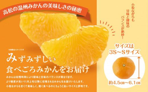【訳あり】太陽たっぷり浴びた　瀬戸内温州みかん　約5kg【2025-10月上旬～2026-1月中旬配送】