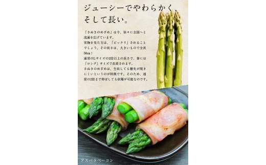 訳あり さぬきのめざめセミロング30cm(細物・サイズ混合) 約1.3kg【2026-3月上旬～2026-3月下旬配送】