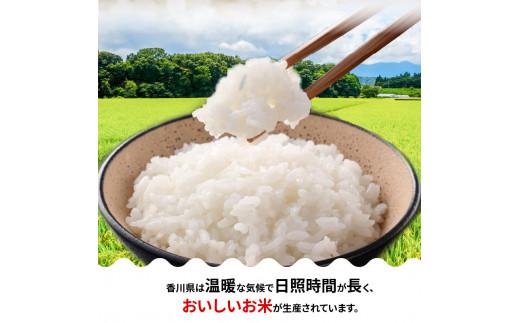 【6ヶ月定期便】計約30kg 奇数月 おいしいコシヒカリ約5kg