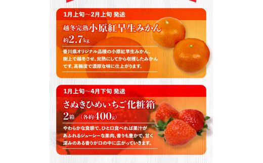 季節のフルーツ  厳選 高松市 12回 [旬な季節に合計12回発送]定期便N