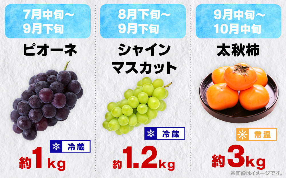 【12回毎月お届け】高松市自慢のフルーツ定期便【L】