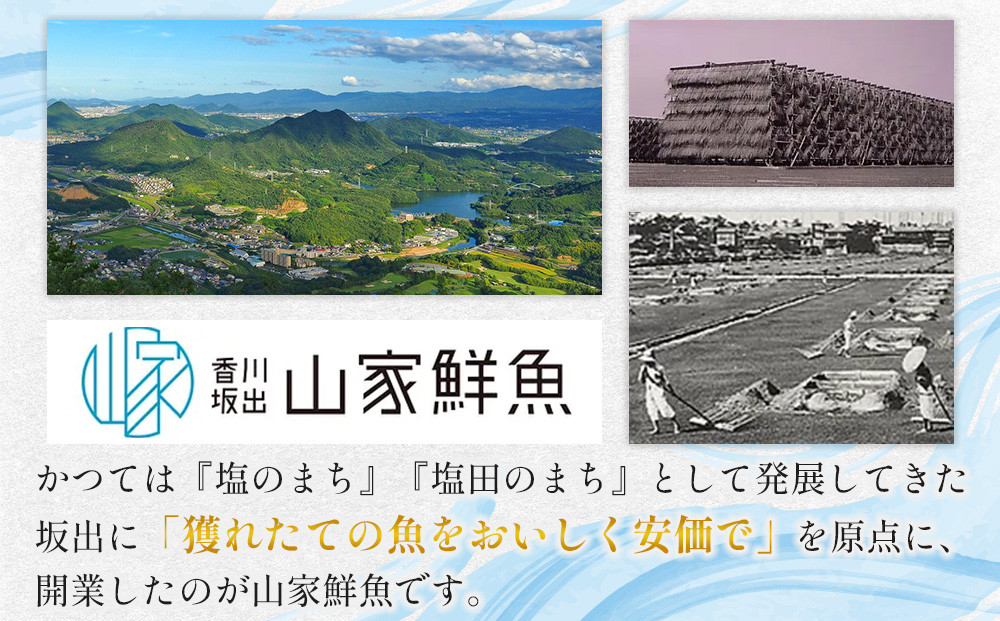 鰆の味噌漬（10切入）