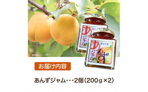 ※受付終了※あんずジャム　2個