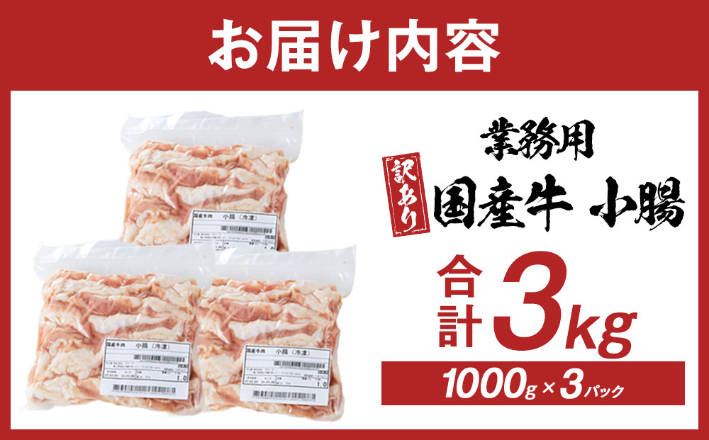 《業務用・訳アリ》国産牛　小腸　3kg