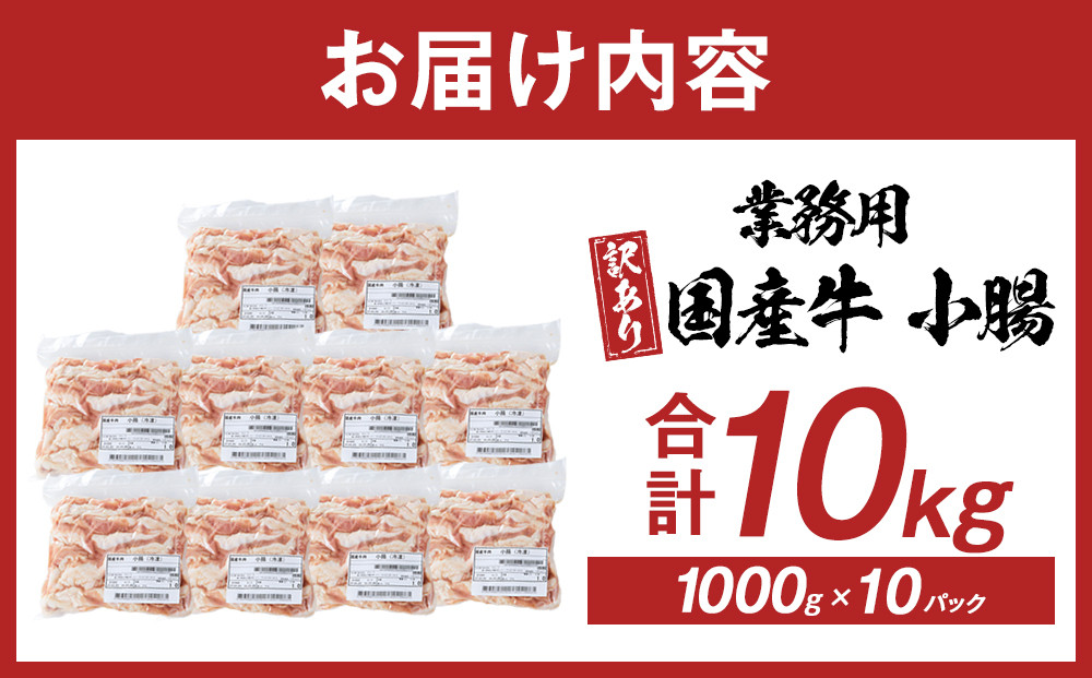 《業務用・訳アリ》国産牛　小腸　10kg