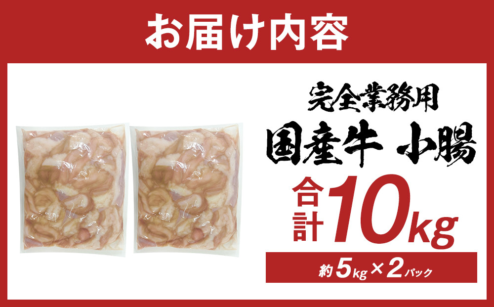 《完全業務用》国産牛　小腸　10kg