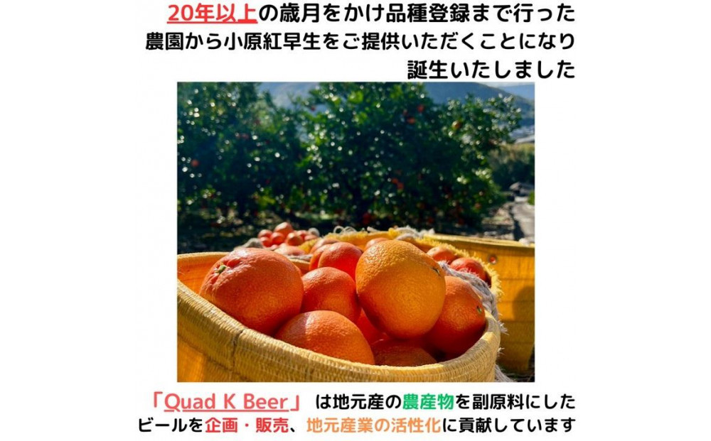 香川県産クラフトビール「Quad K Beer」 kokou 計6本
