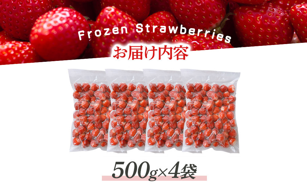 冷凍いちご(さぬきひめ)500g×4袋