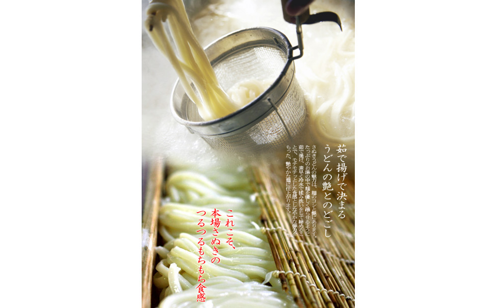 冷凍さぬきうどん 麵処 春奈 特製オリーブ牛肉うどん6人前