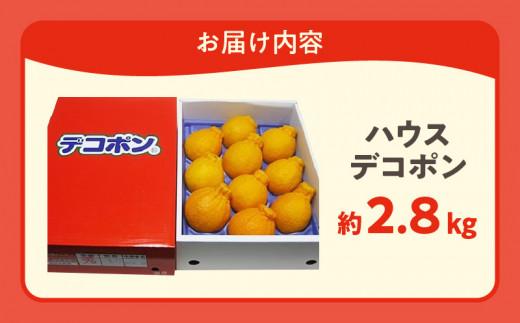 高松産季節の果物＜ハウスデコポン＞約2.8kg【2025年12月中旬～2026年3月中旬配送】