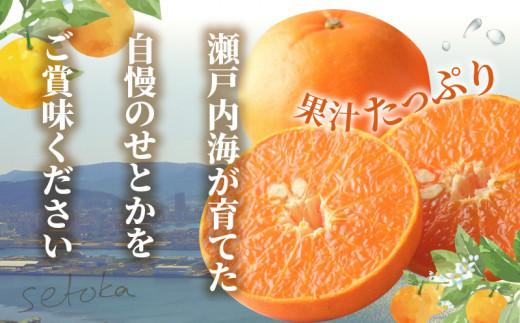 ハウスせとか　約2.8kg【2026年1月下旬～2026年2月下旬配送】