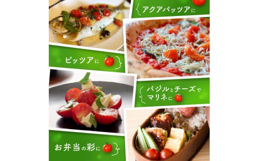 ミニトマト約2.7kg【2025-11月上旬～2026-6月中旬配送】