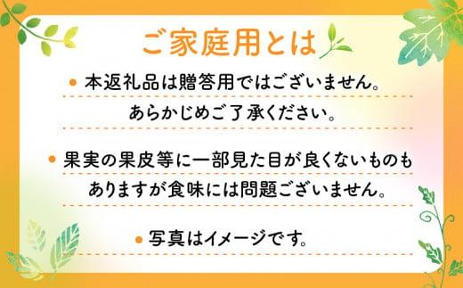 高松産季節の果物＜ご家庭用　デコポン＞約4.5kg【2026年2月下旬～2026年4月上旬配送】