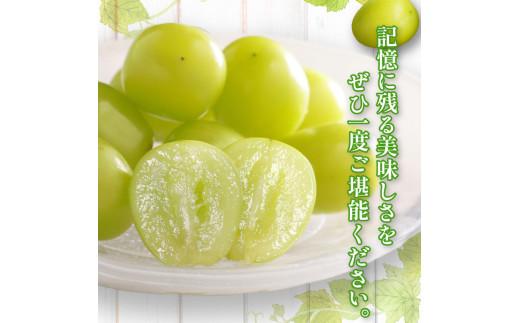 高級 シャインマスカット 約2kg 【2026-8月中旬～2026-9月下旬配送】