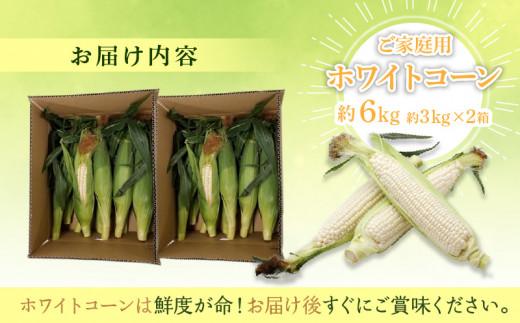 訳あり ご家庭用 瀬戸内ホワイトコーン 約6kg【2026-6月中旬～2026-7月中旬配送】