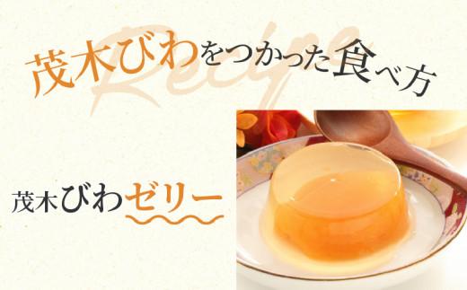 茂木びわ 約1kg (約250g×4パック)【2026-5月中旬～2026-6月中旬配送】