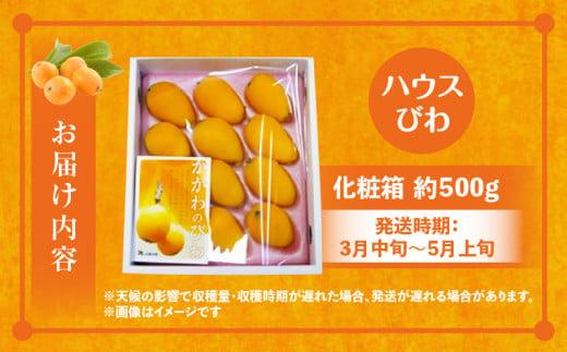 ハウスびわ化粧箱 約500g【2026-4月中旬～2026-5月上旬配送】