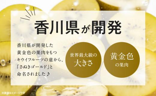 さぬきゴールドキウイ化粧箱　約1.4kg【2025-10月中旬～2026-1月下旬配送】