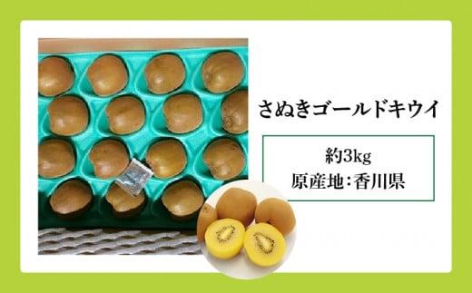 さぬきゴールドキウイ　約3kg【2025-10月中旬～2026-1月下旬配送】