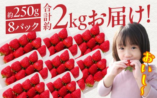 高松市産いちご食べ比べセット 約2kg【2026-1月上旬～2026-5月中旬配送】